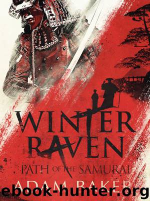 Winter Raven by Unknown