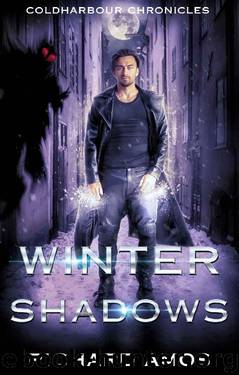 Winter Shadows: an Urban Fantasy Novel (Coldharbour Chronicles Book 2) by Richard Amos