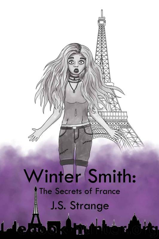 Winter Smith (Book 2): The Secrets of France by J.S. Strange
