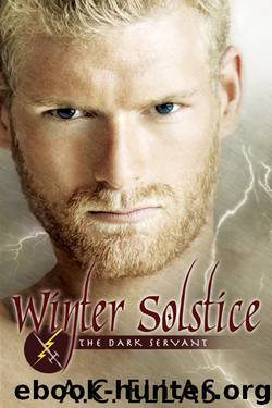 Winter Solstice by A.C. Ellas