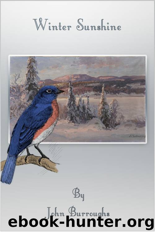 Winter Sunshine by Burroughs John;