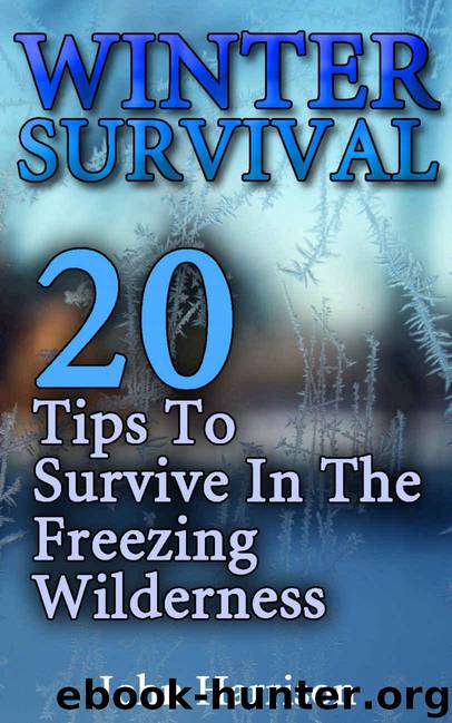 Winter Survival: 20 Tips To Survive In The Freezing Wilderness: (Prepper's Guide, Survival Guide, Alternative Medicine, Emergency) by John Harrison