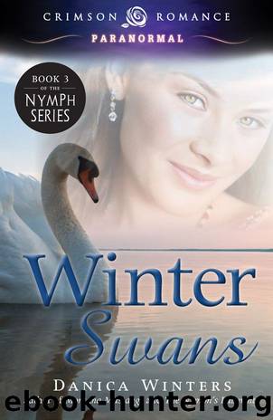Winter Swans by Danica Winters