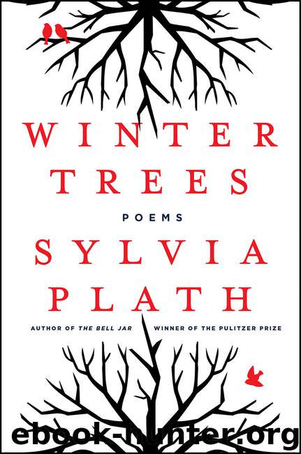 Winter Trees by Sylvia Plath