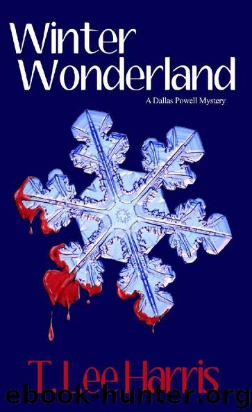 Winter Wonderland by T. Lee Harris