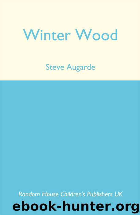 Winter Wood by Steve Augarde