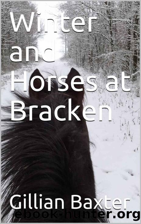 Winter and Horses at Bracken by Gillian Baxter
