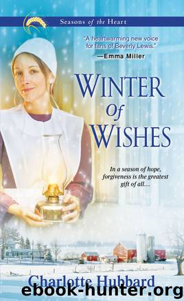 Winter of Wishes by Hubbard Charlotte