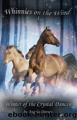 Winter of the Crystal Dances by Angela Dorsey