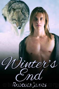 Winter's End by Rebecca James