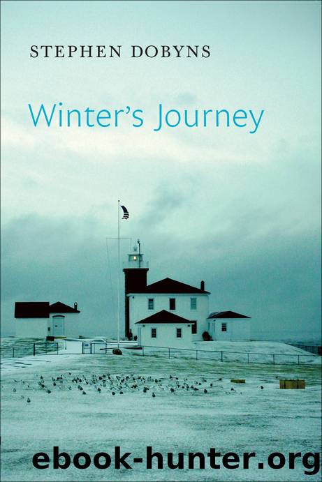 Winter's Journey by Stephen Dobyns