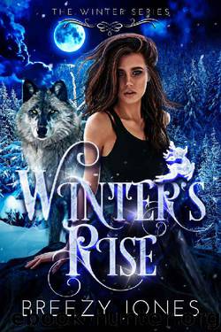 Winter's Rise (The Winter Series Book 1) by Breezy Jones
