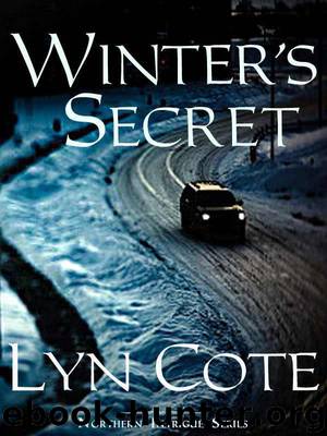 Winter's Secret by Lyn Cote