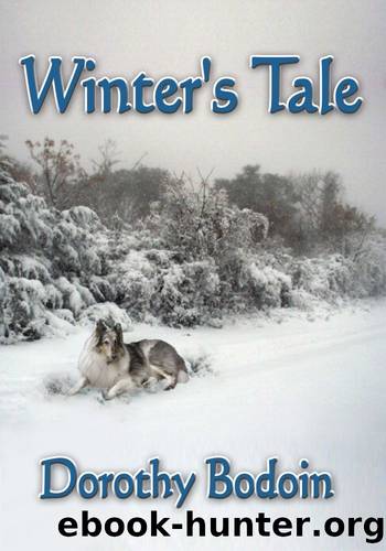 Winter's Tale (The Foxglove Corners Series Book 3) by Dorothy Bodoin