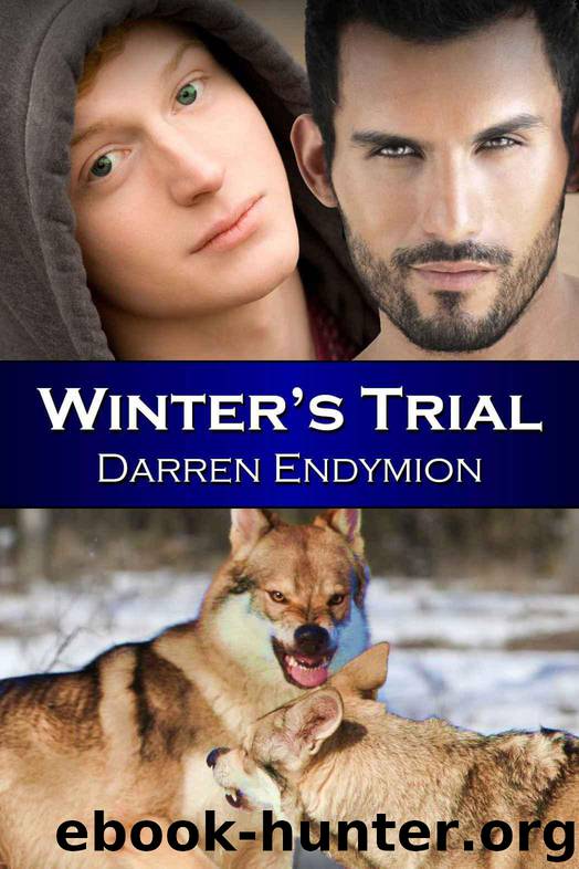 Winter's Trial by Endymion Darren