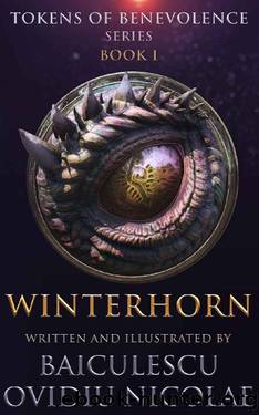 Winterhorn (Tokens Of Benevolence Book 1) by Nicolae Ovidiu Baiculescu