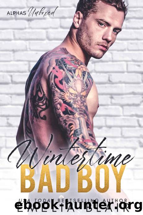 Wintertime Bad Boy: A Christmas Suspense Romance (Alphas Unboxed Book 3) by Emelia Blair