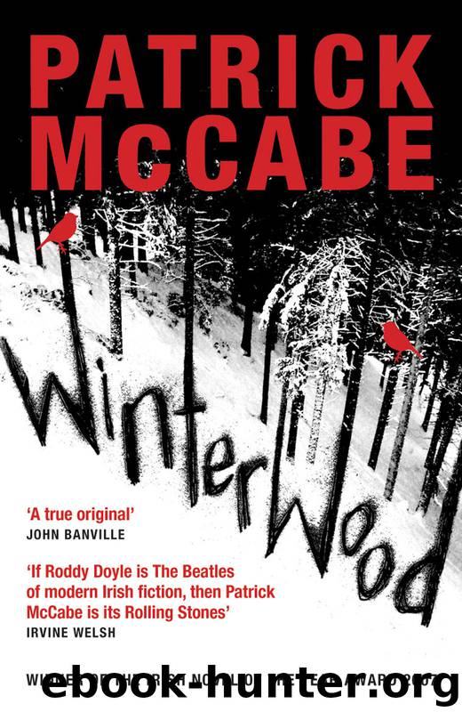Winterwood by Patrick McCabe