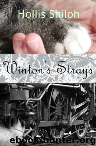 Winton's Strays (sweet gay romance) by Shiloh Hollis