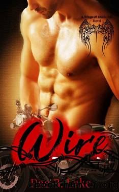 Wire: A Wings of Diablo MC Novel by Rae B. Lake