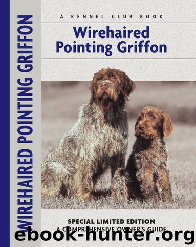 Wirehaired Pointing Griffon by Nikki Moustaki