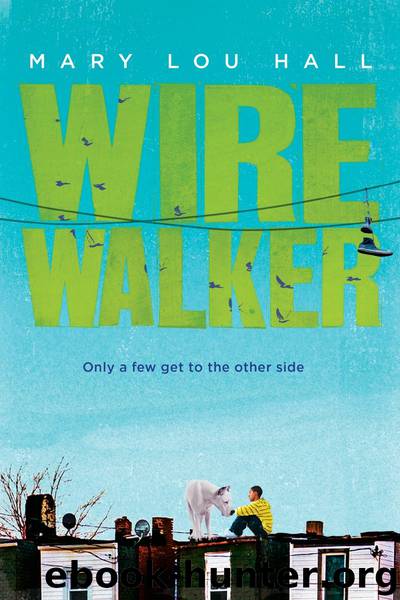 Wirewalker by Mary Hall