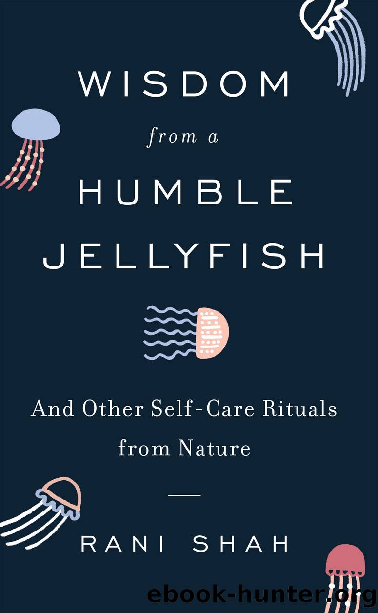 Wisdom from a Humble Jellyfish by Rani Shah