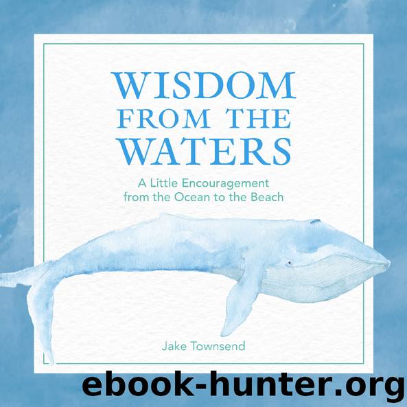Wisdom from the Waters by Jake Townsend