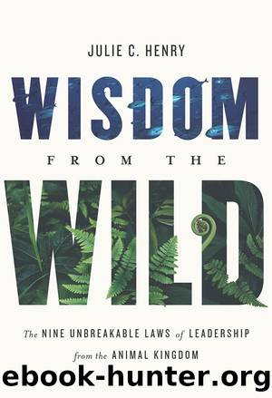 Wisdom from the Wild by Julie C. Henry