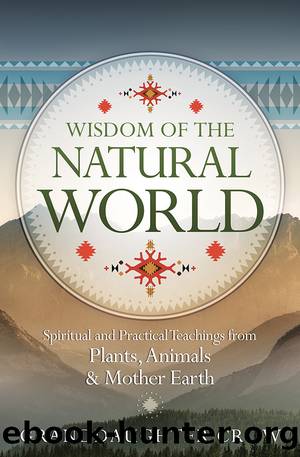 Wisdom of the Natural World by Granddaughter Crow