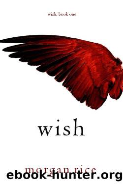 Wish (Book One) by Morgan Rice