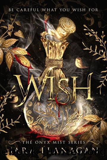 Wish (The Onyx Mist Series Book 1): A Dark Fantasy Romance Series by Sara Flanagan