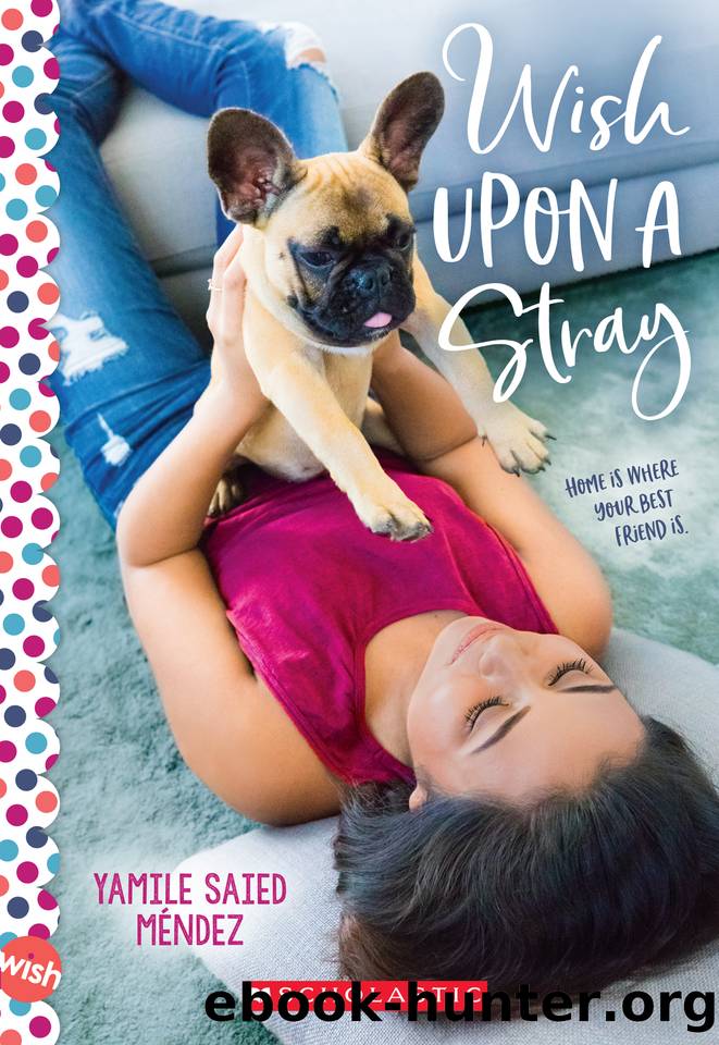 Wish Upon a Stray by Yamile Saied Méndez