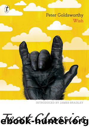 Wish by Peter Goldsworthy