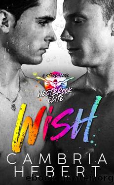 Wish: A MaleMale Westbrook Elite Standalone by Cambria Hebert