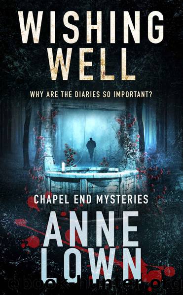 Wishing Well by Anne Lown