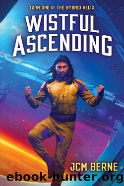 Wistful Ascending by J.C.M. Berne