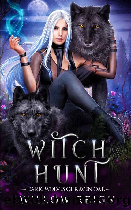 Witch Hunt: A Reverse Harem Fantasy Romance (Dark Wolves of Raven Oak Book 1) by Willow Reign