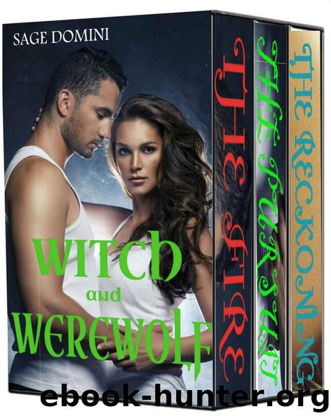 Witch and Werewolf: The Fire, The Pursuit, The Reckoning (BBW Paranormal Shifter Romance) by Domini Sage