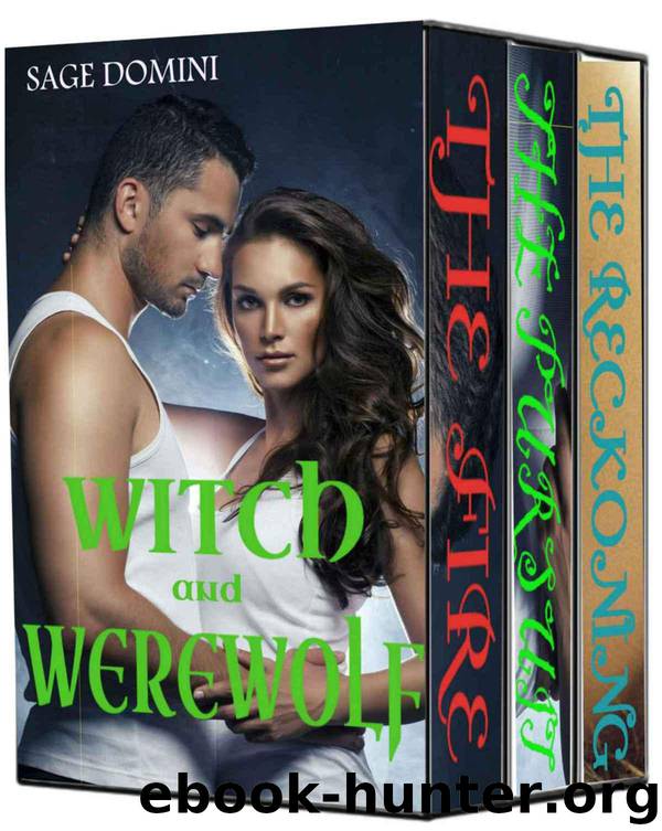 Witch and Werewolf: The Fire, the Pursuit, the Reckoning by Domini Sage