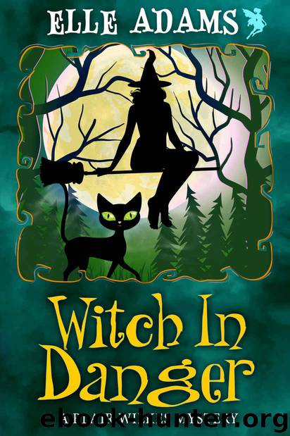 Witch in Danger by Elle Adams