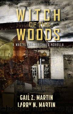 Witch of the Woods (Wasteland Marshals Book 2) by Gail Z. Martin & Larry N. Martin