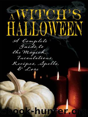 Witch's Halloween by Gerina Dunwich