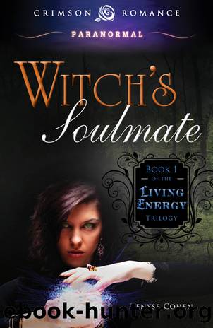 Witch's Soulmate by Denyse Cohen