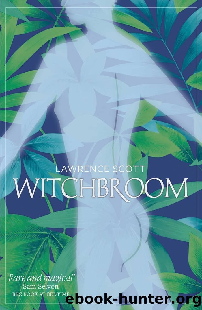Witchbroom by Lawrence Scott