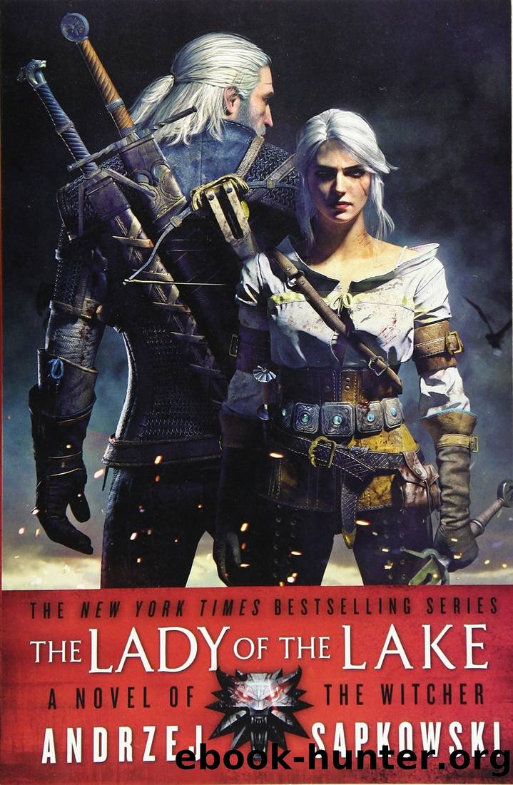 Witcher 7 - The Lady of the Lake by Andrzej Sapkowski