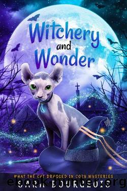 Witchery and Wonder (What the Cat Dragged In Cozy Mysteries Book 6) by Sara Bourgeois