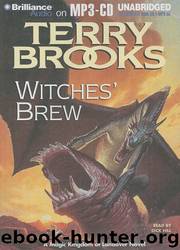 Witches Brew by Terry Brooks