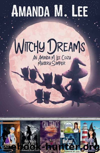 Witchy Dreams by Amanda M Lee