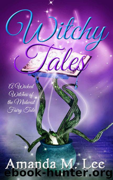 Witchy Tales: A Wicked Witches of the Midwest Fairy Tale by Amanda M. Lee